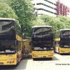 中港車牌